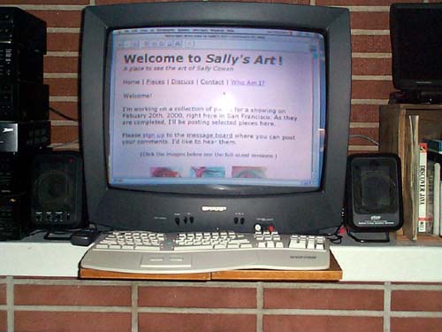Sally's Art on TV: 